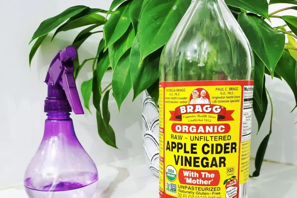 Apple cider vinegar